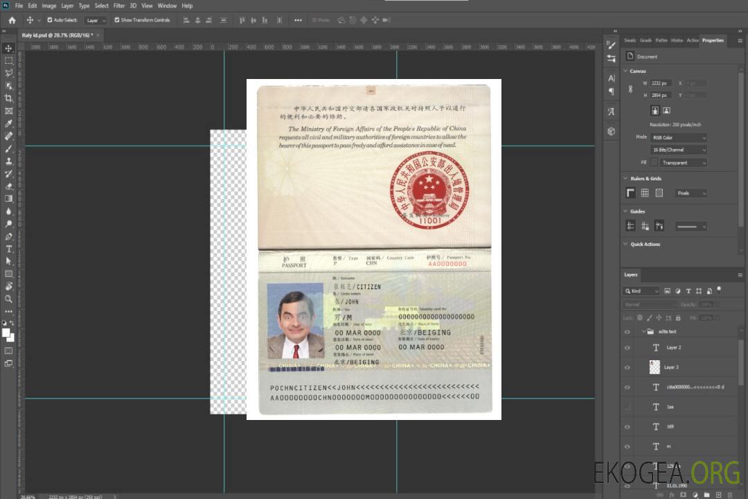 Pass Chine (2007-2009) template